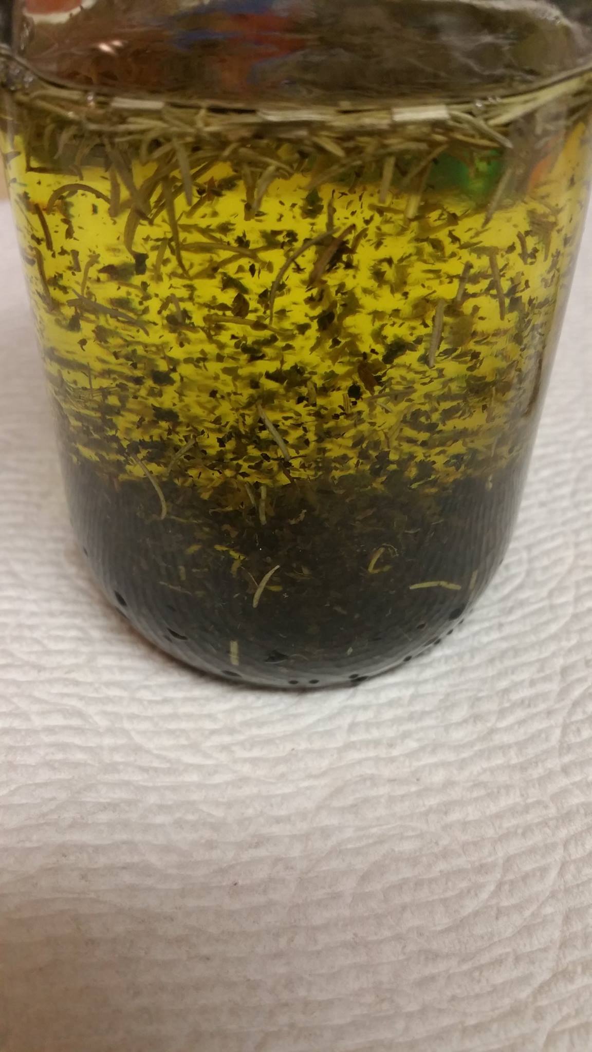 Herbal Infused Hair Oil 16 oz. made to order
